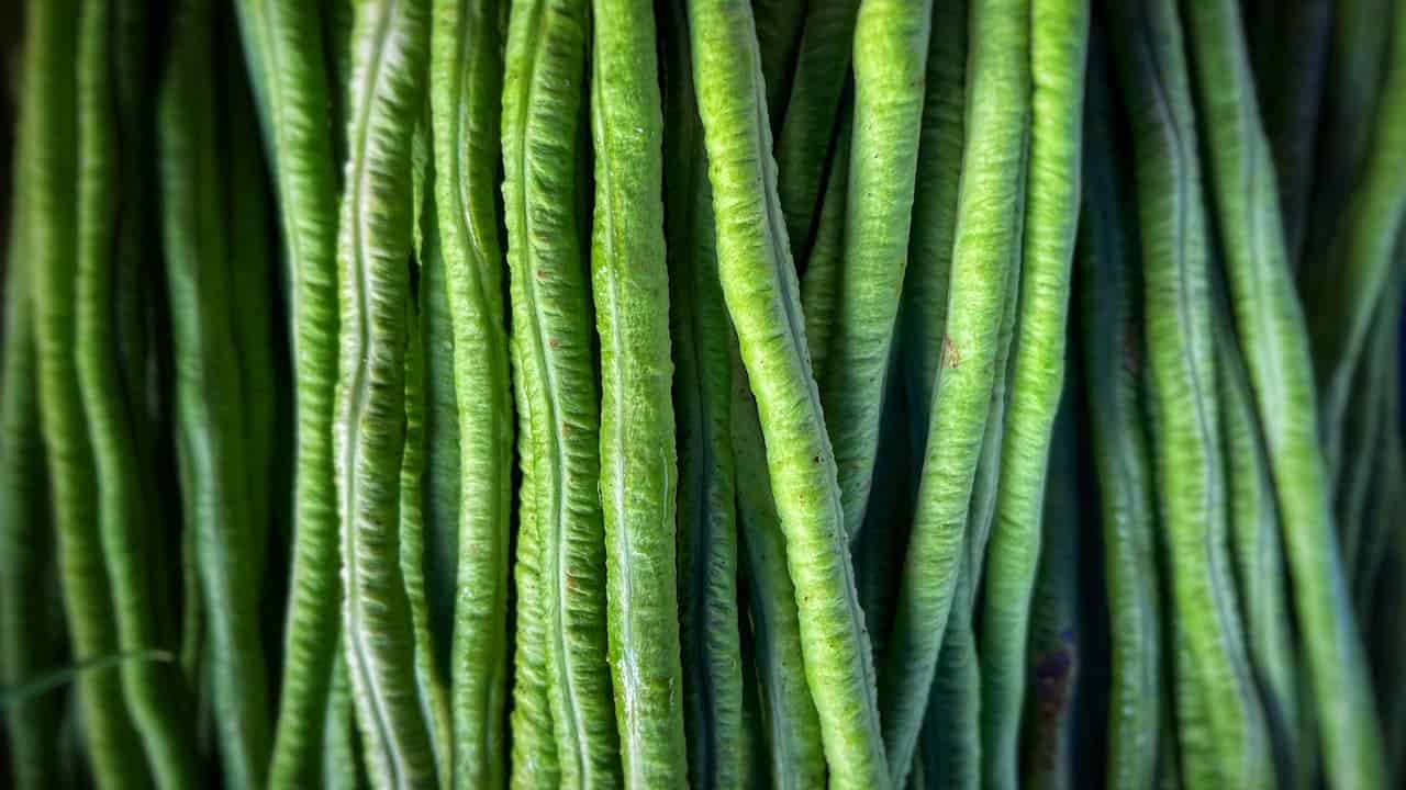 Close-up of fresh yardlong beans, vibrant green color, elongated shape, stacked vertically, textured surface, natural light