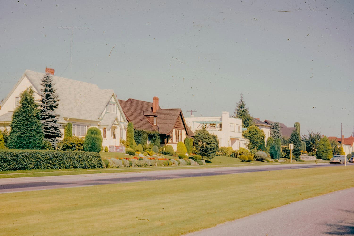 The image shows a suburban street with neatly landscaped lawns, several houses with different architectural styles, including a house under construction, trees and shrubs are neatly trimmed along the sidewalk, the scene has a vintage feel with a bright blue sky and a few cars visible on the street