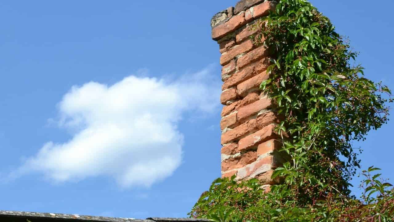 chimney flue planter