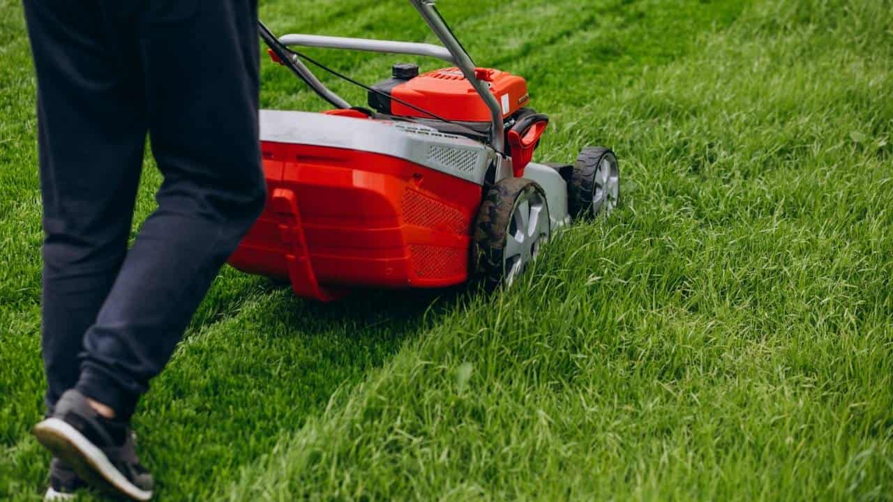 Person mowing lawn with red push mower, wearing dark pants and shoes, green grass beneath mower, freshly cut lawn lines visible, daytime, outdoor scene