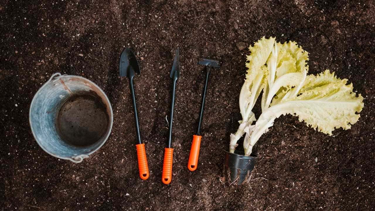 garden trowel digging soil vegetables