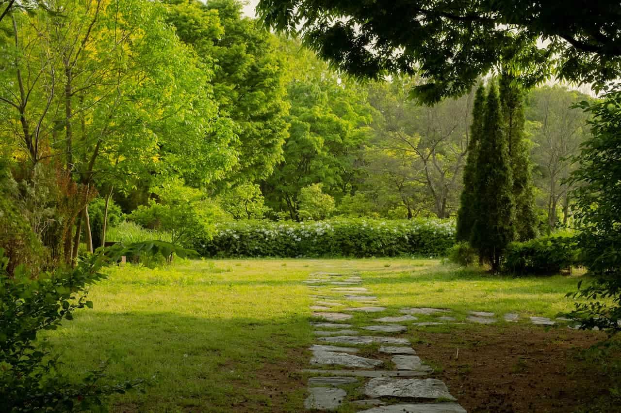 Stone pathway through lush green garden with diverse trees, hedges, and a grassy lawn in peaceful natural setting