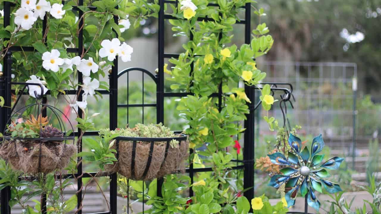 Decorative garden trellis with white and yellow flowering vines, hanging baskets filled with succulents, and a colorful metal flower ornament, creating a vibrant and artistic outdoor display in a lush garden setting