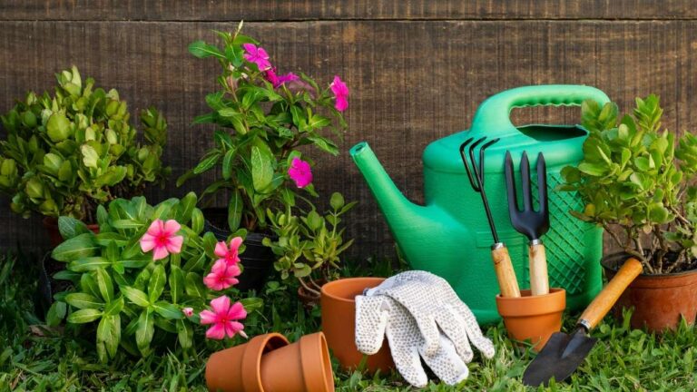 messy garden tools and pots scattered backyard cluttered outdoor space