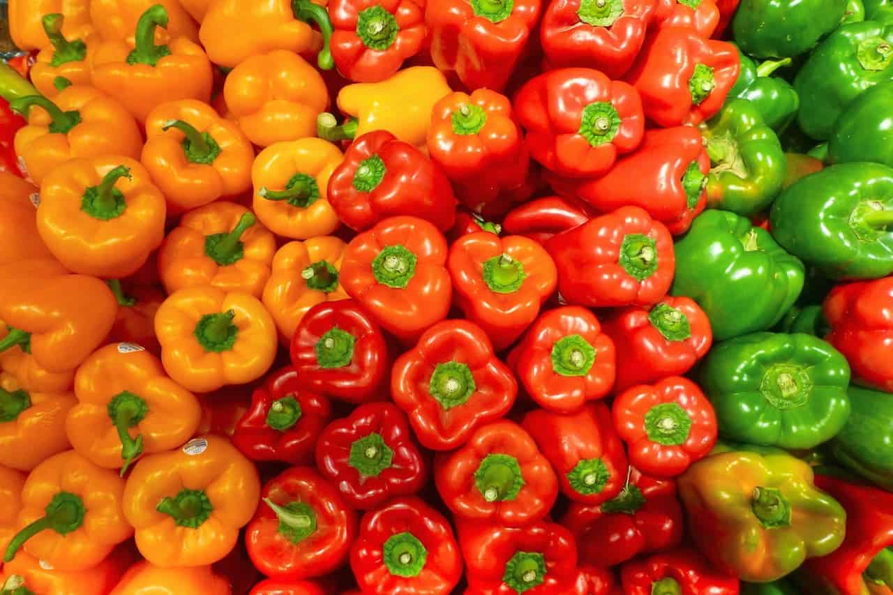 Colorful bell peppers arranged in groups by color - yellow, orange, red, and green - with visible stems