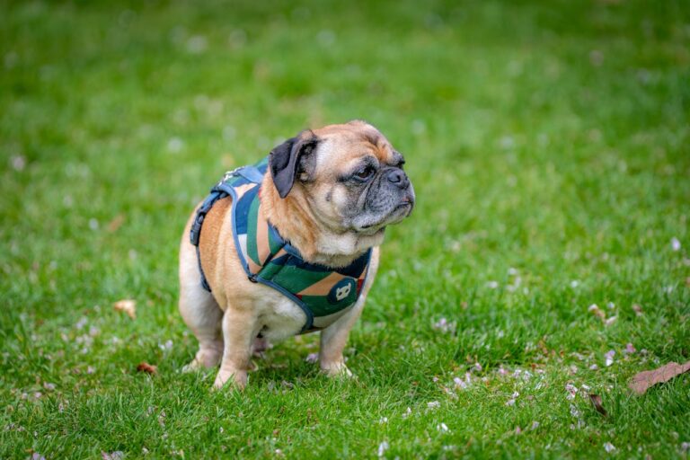 13 Things I Used to Do That Were Slowly Killing My Grass