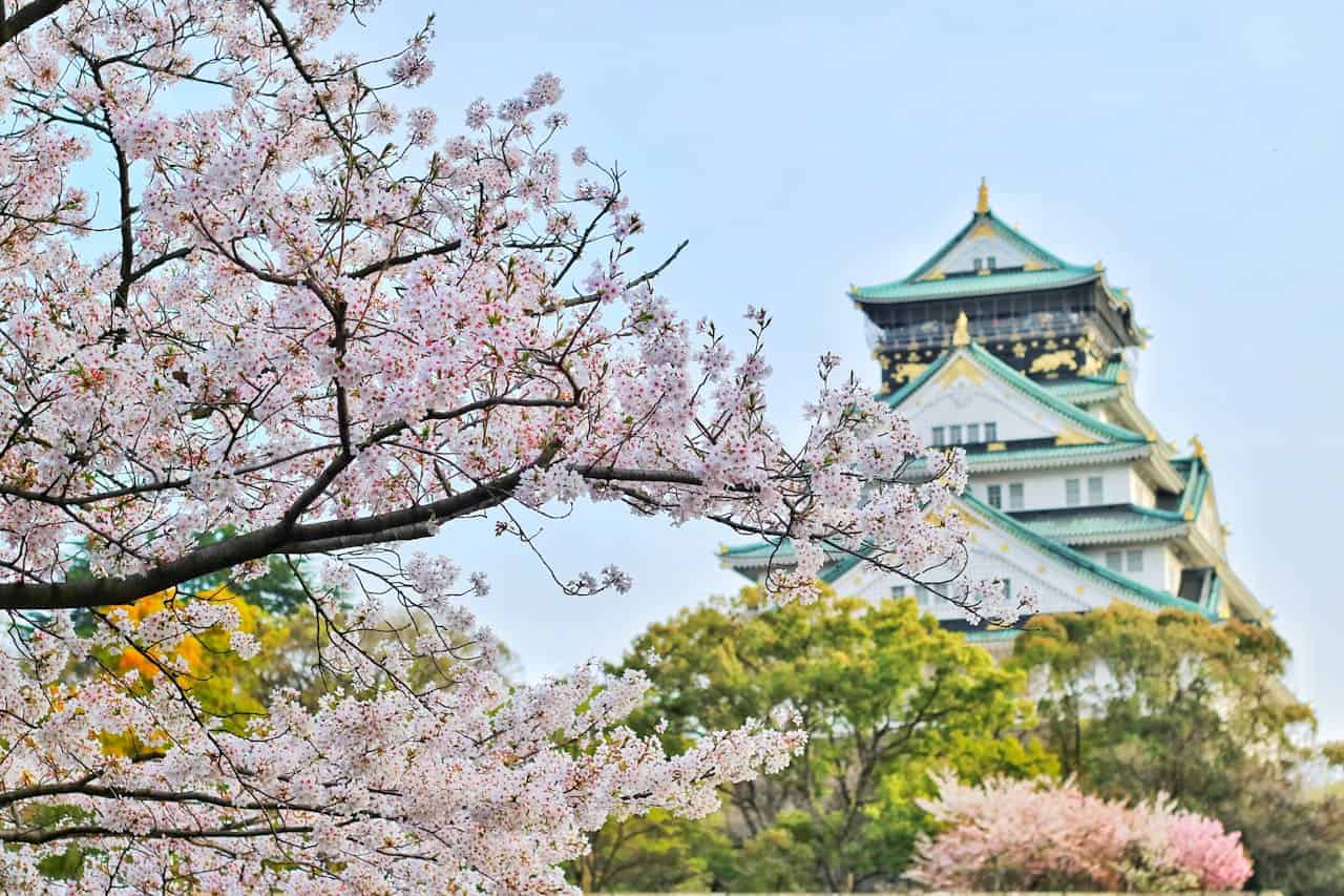 Osaka Castle framed by blooming cherry blossoms in spring, with green trees and clear blue sky in background
