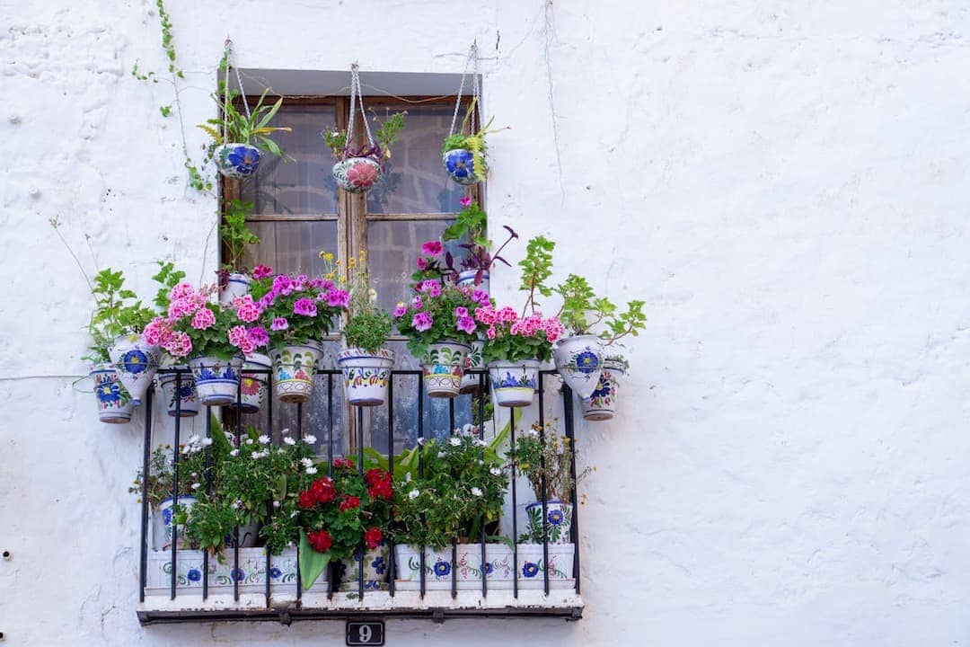 Colorful ceramic pots with blooming flowers, pink geraniums, daisies, and green foliage, arranged on a wrought iron balcony railing, under a small window with sheer curtains