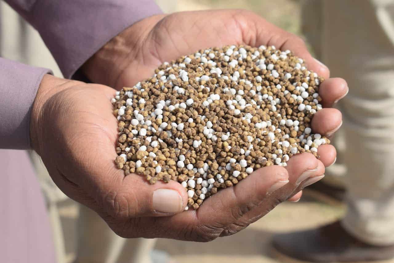 A person holding a handful of fertilizer granules, with brown and white pellets mixed together, ready for use in gardening or agriculture, showing close-up detail of the textured granules in the palm of the hand
