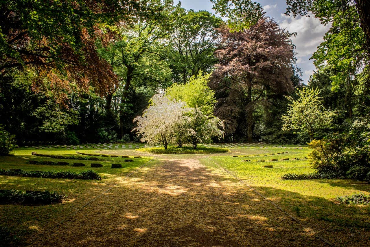 A serene garden with vibrant green trees, a large flower-filled tree at the center, a circular flower bed around it, walking path leading through the garden, scattered leaves on the ground