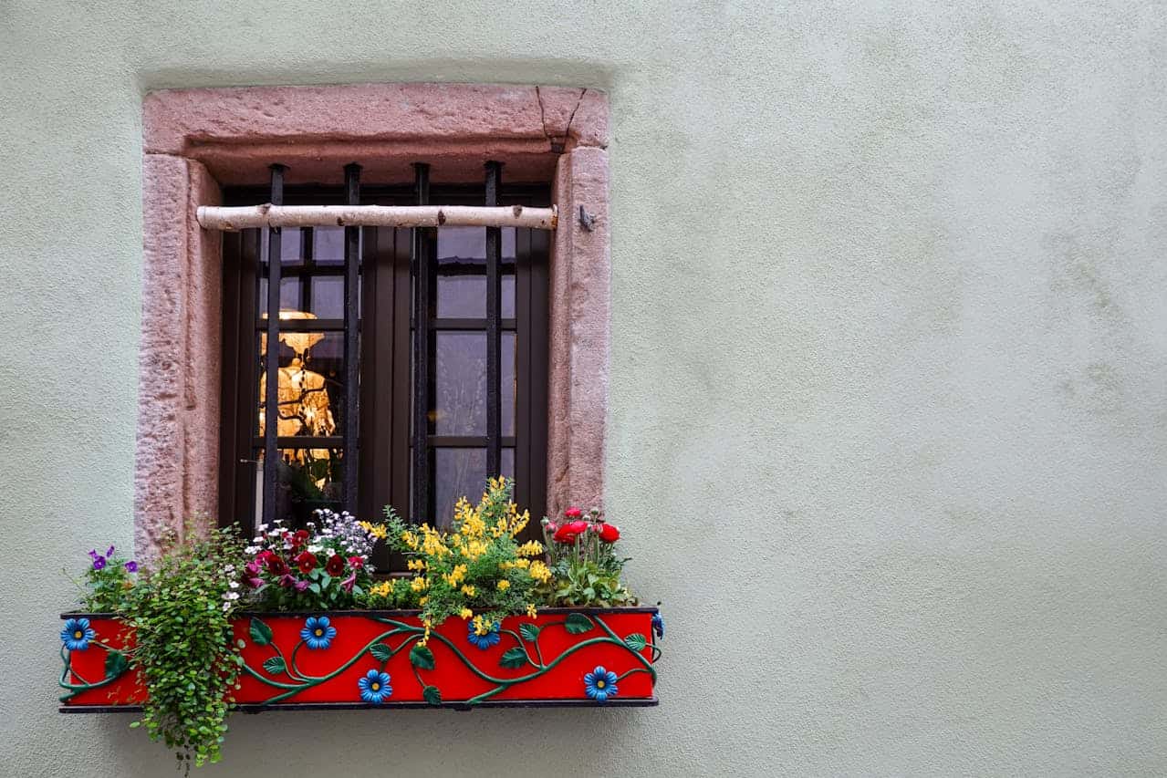 Window with black metal bars on pale wall featuring vibrant red flower box with colorful blooming plants