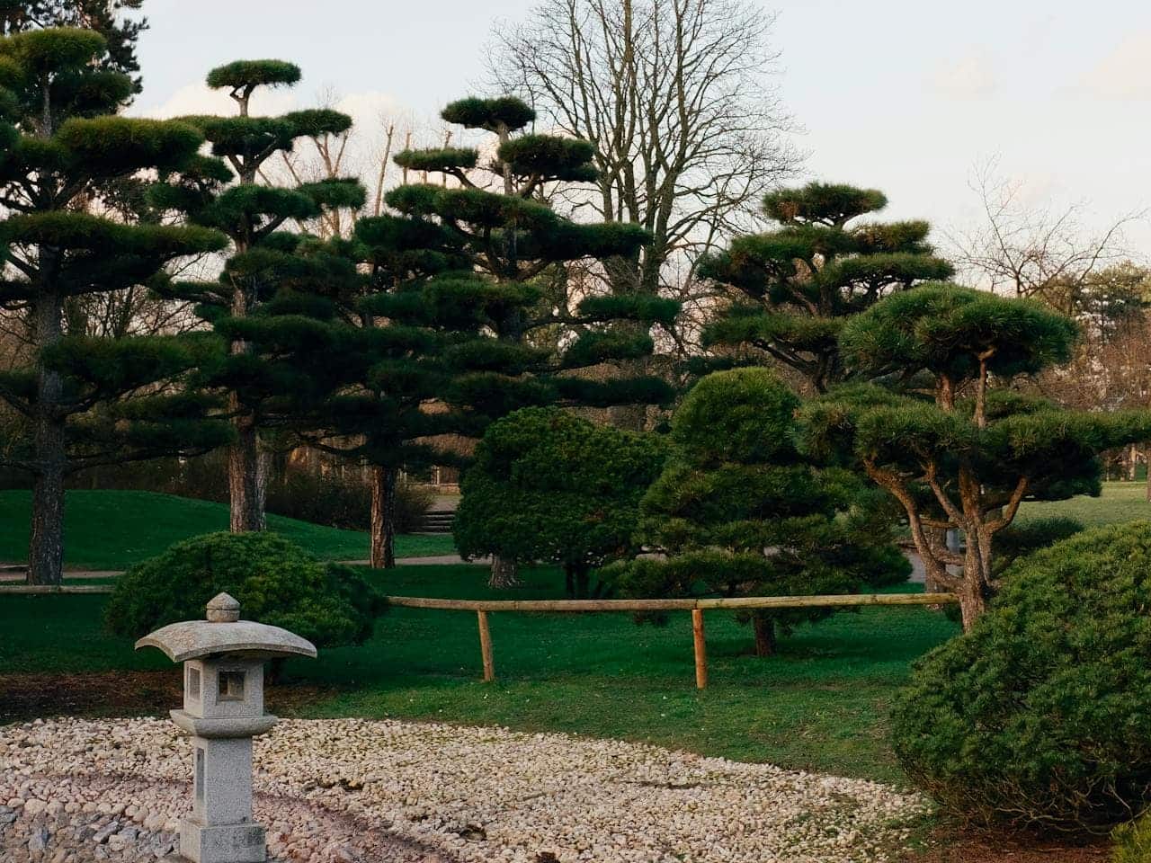 Japanese garden with symmetrical pine trees, stone lantern, green grass, wooden fence, and rocks scattered on the ground, creating a tranquil and serene atmosphere for relaxation and contemplation