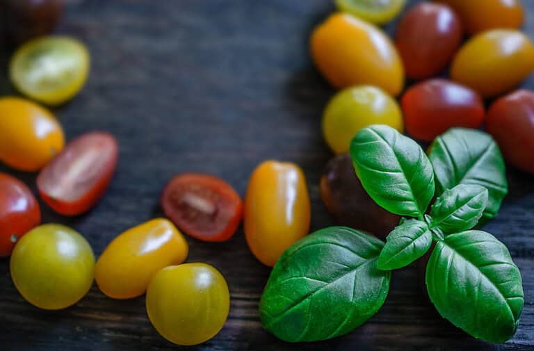 Fresh basil sprig alongside colorful cherry tomatoes in yellow, orange, and red varieties scattered on dark wooden surface