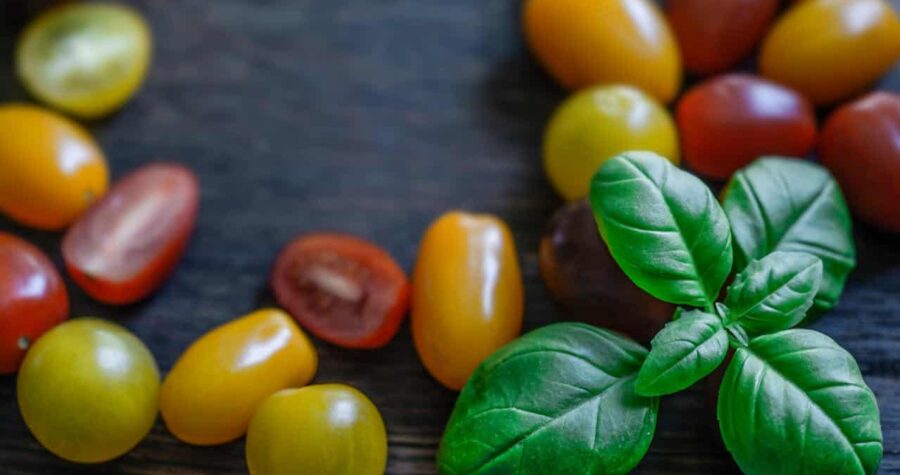 Fresh basil sprig alongside colorful cherry tomatoes in yellow, orange, and red varieties scattered on dark wooden surface