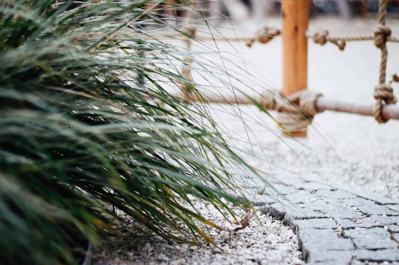 Lush green grass swaying gently, surrounded by gravel pathway, wooden structure with rope details in the background, the serene outdoor setting evokes a sense of tranquility, a natural environment with nature's beauty and simple landscaping