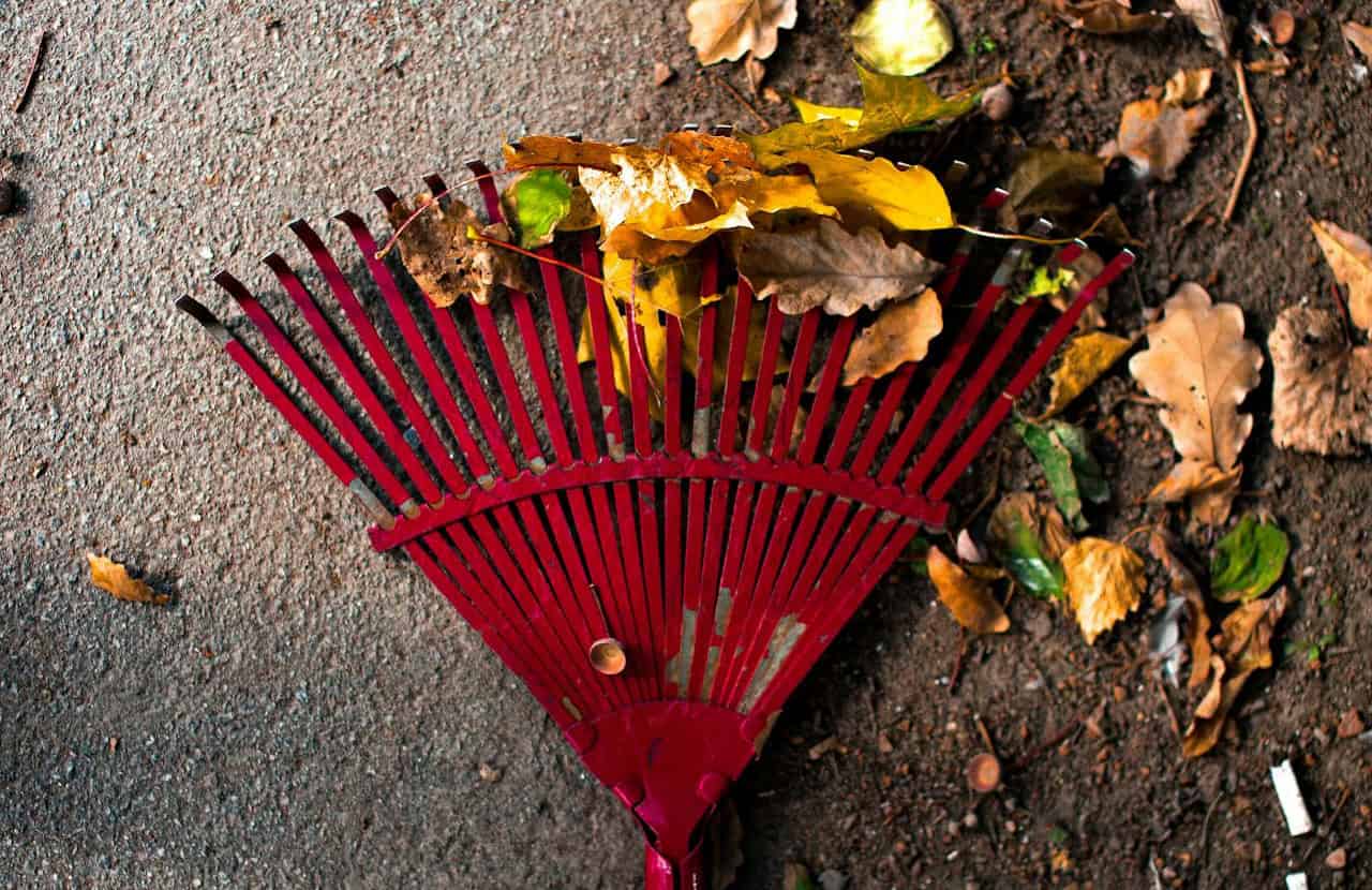 A red garden rake resting on the ground, holding fallen autumn leaves, surrounded by scattered yellow and brown leaves on a dirt surface, indicating a seasonal yard cleanup