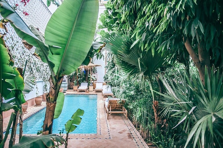 Lush tropical plants and palm trees surrounding a clear blue swimming pool with lounge chairs and a tiled patio, capturing a serene and luxurious outdoor retreat setting