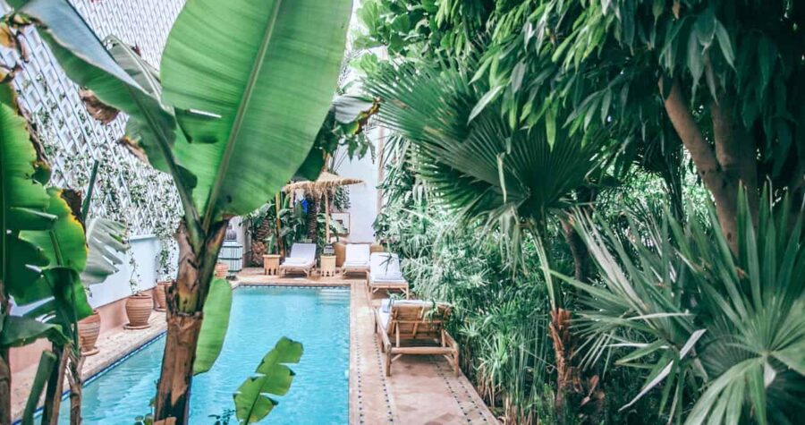 Lush tropical plants and palm trees surrounding a clear blue swimming pool with lounge chairs and a tiled patio, capturing a serene and luxurious outdoor retreat setting