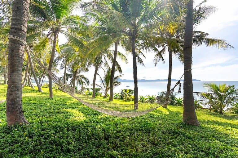 Hammock strung between palm trees on grassy coastal property with ocean view and distant mountains on horizon