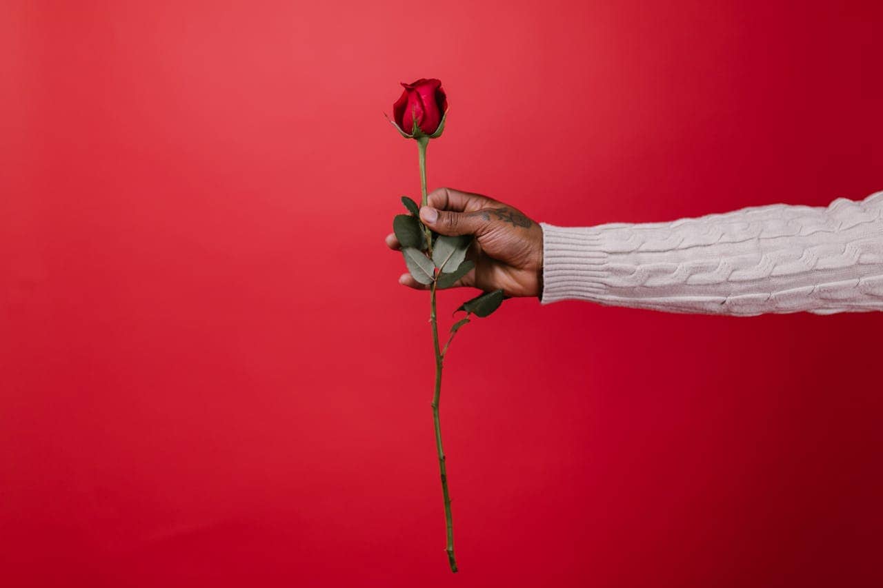 A hand holding a long stem red rose with green leaves against a solid red background, showing a close-up of the rose, with the hand wearing a white sweater