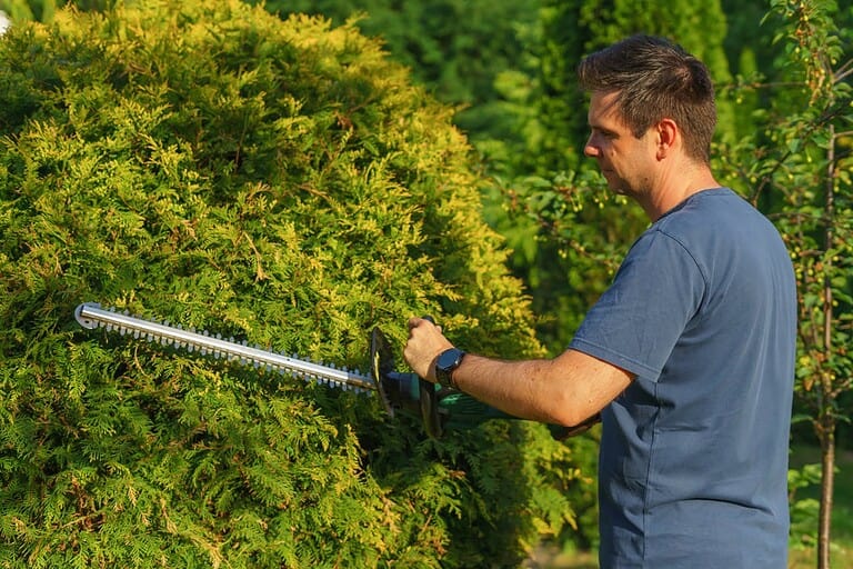 A man using a hedge trimmer to shape a green bush, focused on trimming the foliage, wearing a blue t-shirt, with a well-maintained garden in the background
