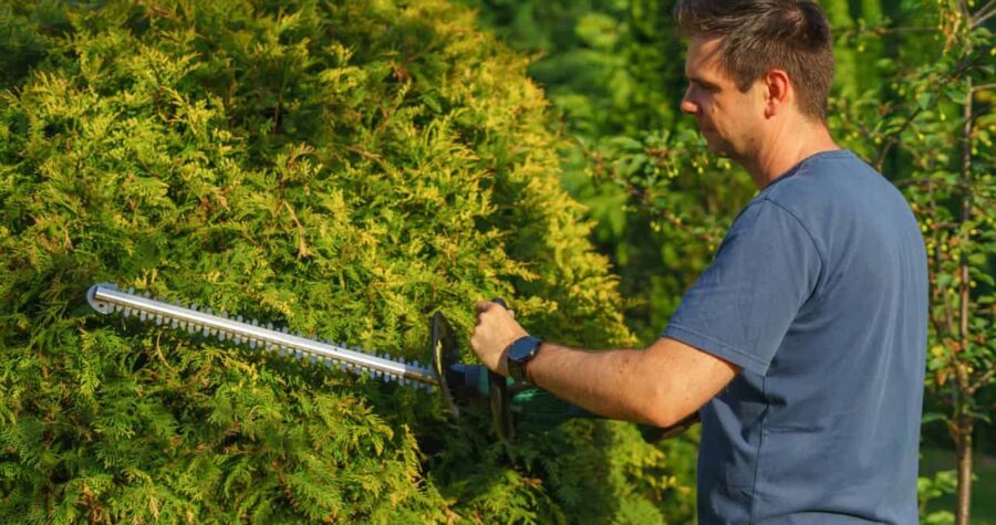 A man using a hedge trimmer to shape a green bush, focused on trimming the foliage, wearing a blue t-shirt, with a well-maintained garden in the background
