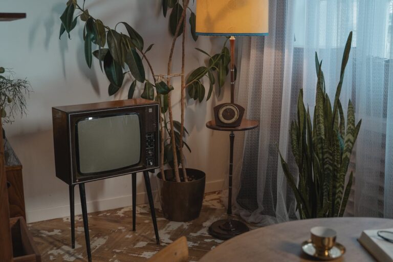 Vintage style corner, old television set with wooden finish on black metal legs, next to a tall lamp with a yellow shade and a retro speaker stand, large indoor plants surrounding the scene, soft lighting filtering through sheer curtains, cozy and nostalgic atmosphere with warm tones