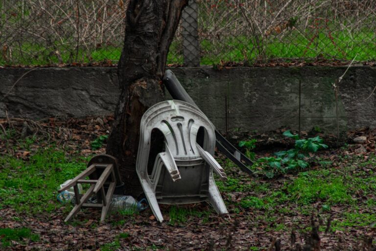 10 Yard Clutter Items I Didn’t Realize Were Dragging Down My Space