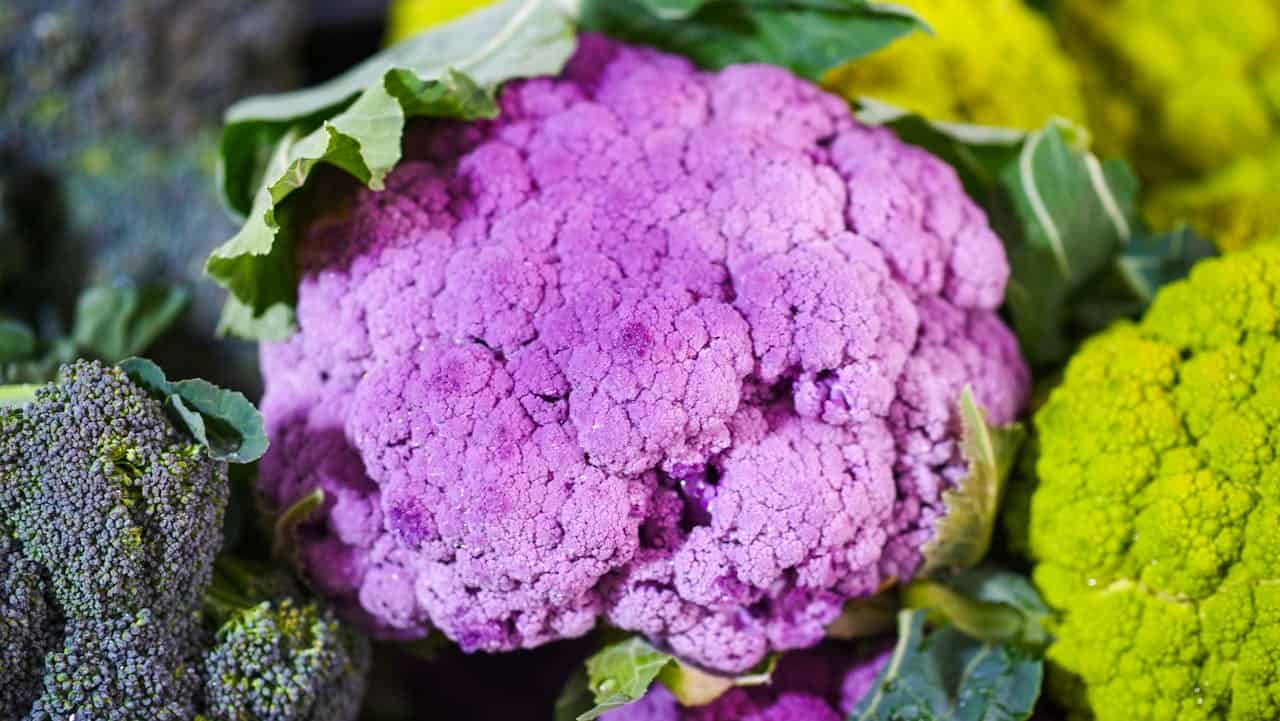 Purple cauliflower head, surrounded by green broccoli and yellow-green cauliflower, fresh leaves partially covering the vegetables, vibrant colors, close-up shot