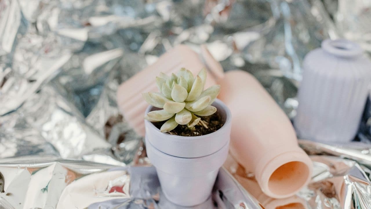 self-watering plant pots outdoor