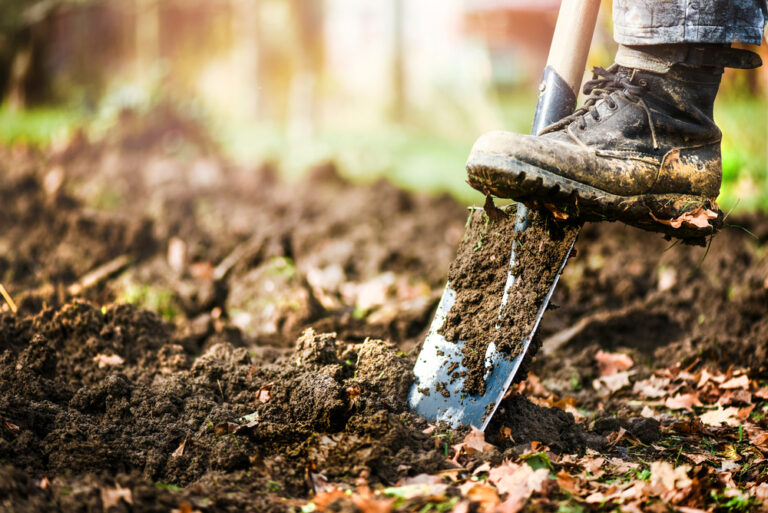 Booted foot pressing down on a shovel, digging into rich, dark soil, with scattered autumn leaves in the background, sunlight softly illuminating the scene