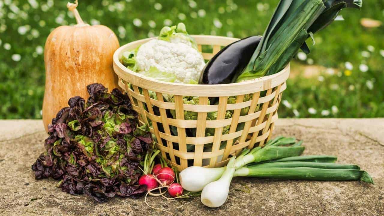 vegetable garden with harvested produce in basket