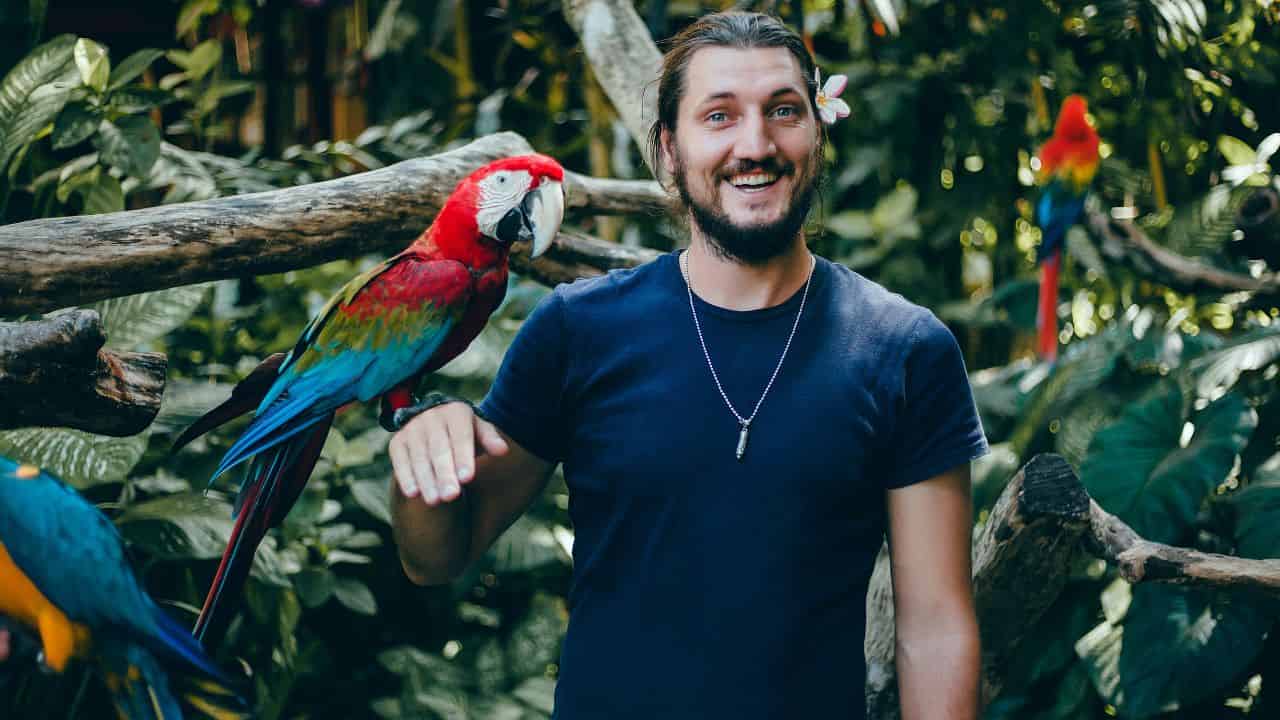 wildlife rehabilitator helping bird