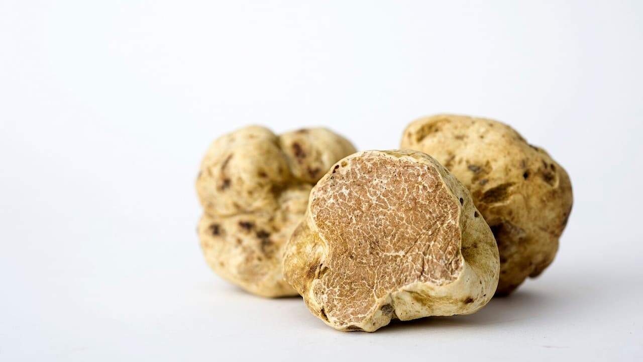 Several white truffles clustered together on plain background, with one cut open showing marbled interior texture