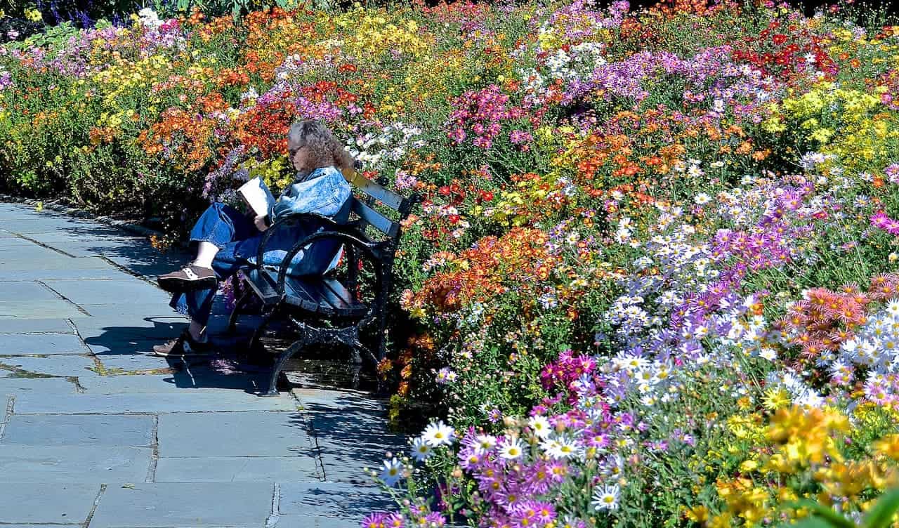 A person reads on a bench beside a stone path, surrounded by a dense garden of vibrant, colorful perennials flowers
