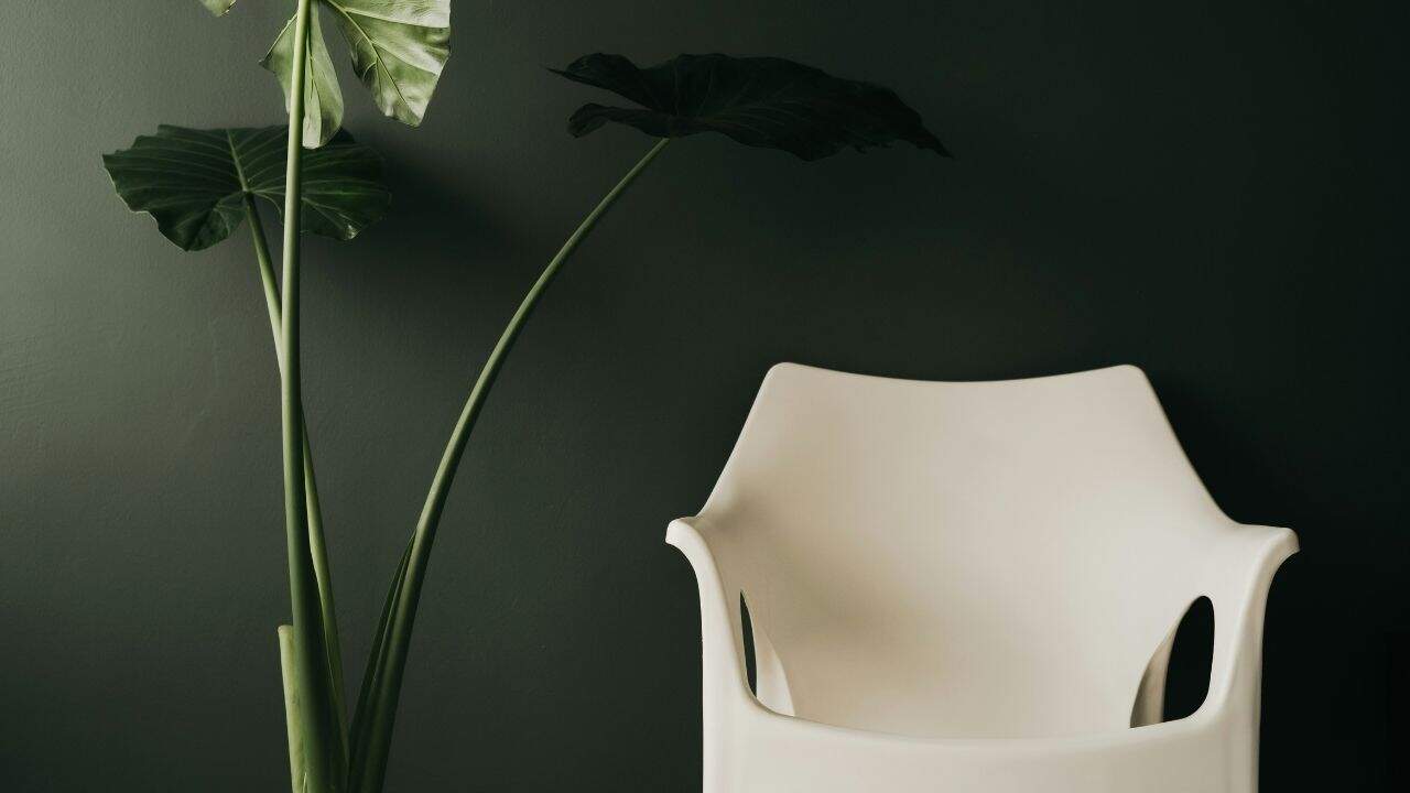 Bold or Dark Interior Paint