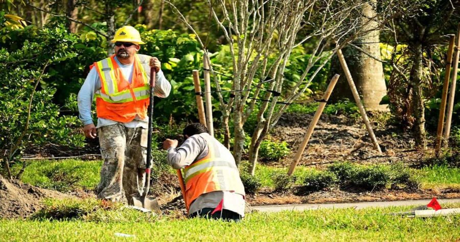 Garden Trends That Destroy Your Soil and How to Protect Your Garden Naturally