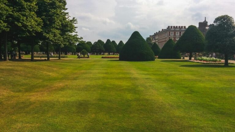 Large green lawn with trimmed hedges and trees in background, overcast sky above manicured grass field