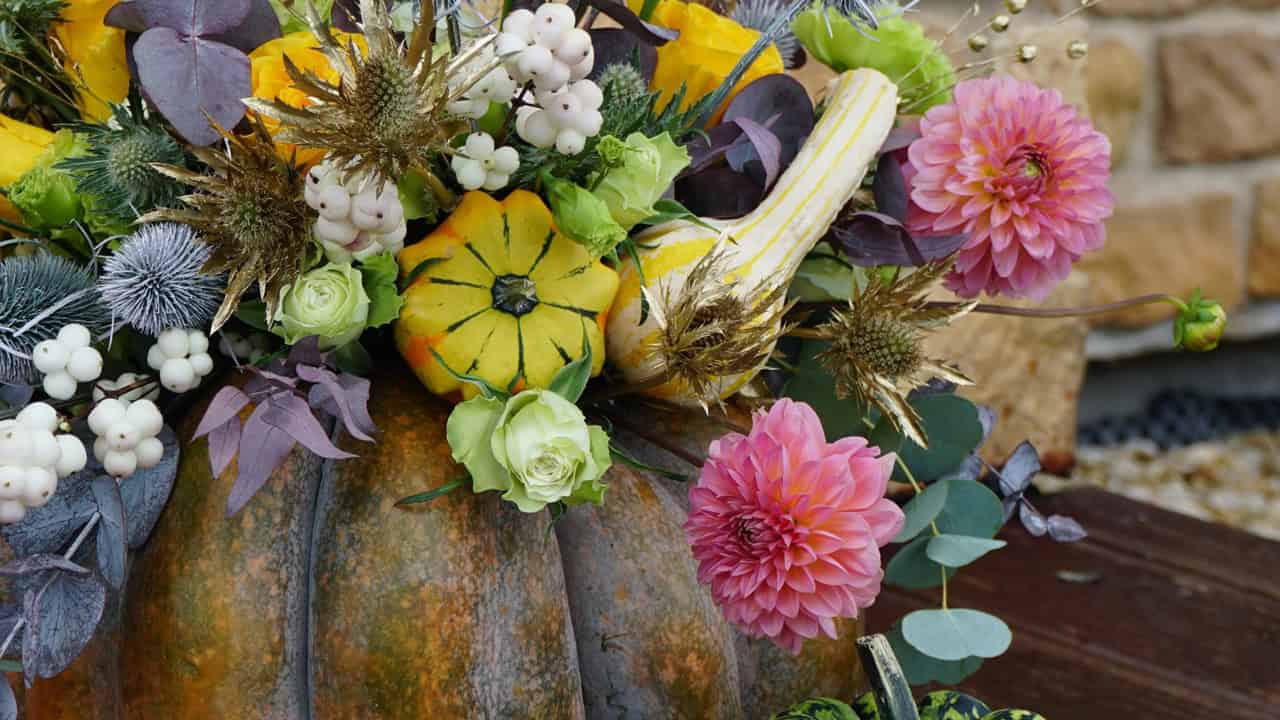 Pumpkin flower pot