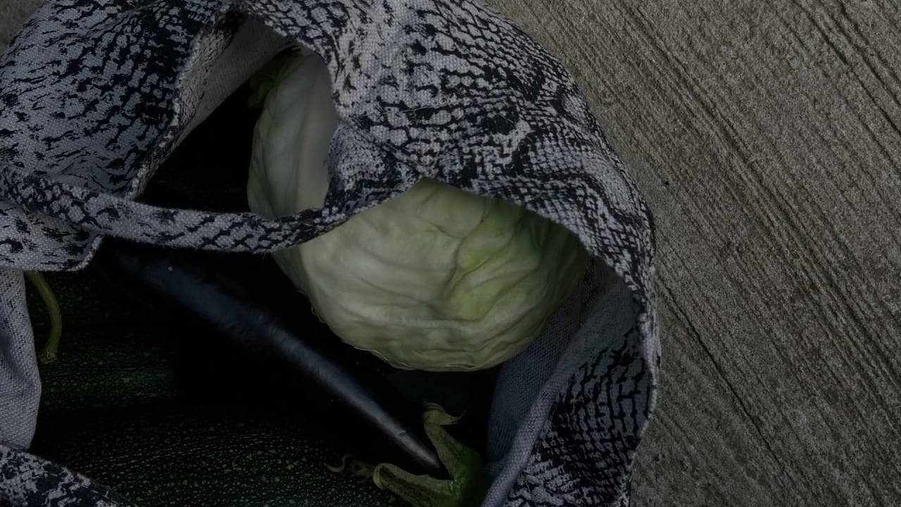 Reusable shopping bags made from synthetic fibers