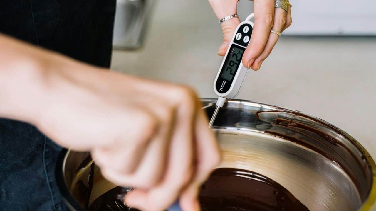 ThermoPro Digital Food Thermometer