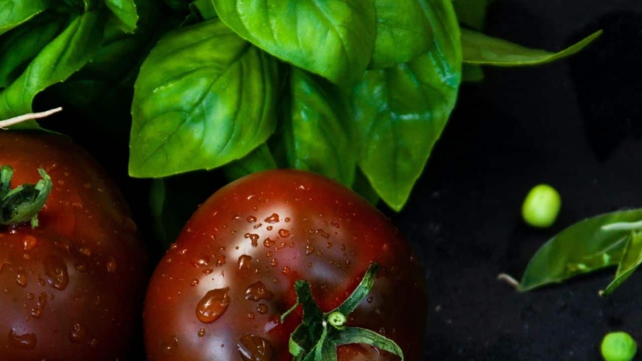 Tomatoes and Basil