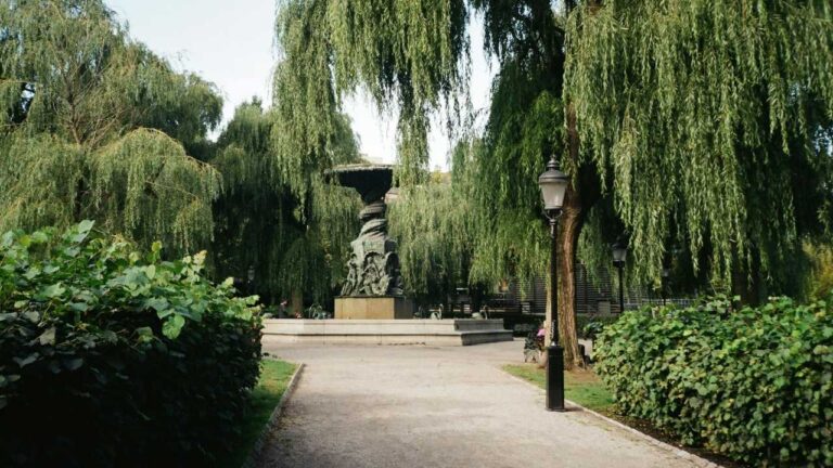 Paved park path, lined with greenery, weeping willow trees