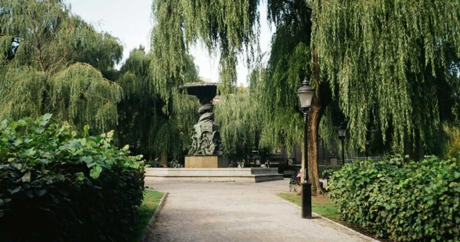 Paved park path, lined with greenery, weeping willow trees