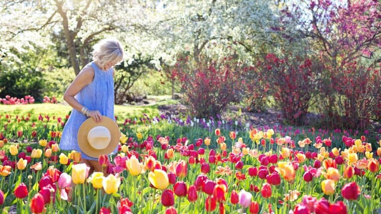 30 Edging Ideas That Elevate Any Flower Bed for a Beautiful Garden Makeover