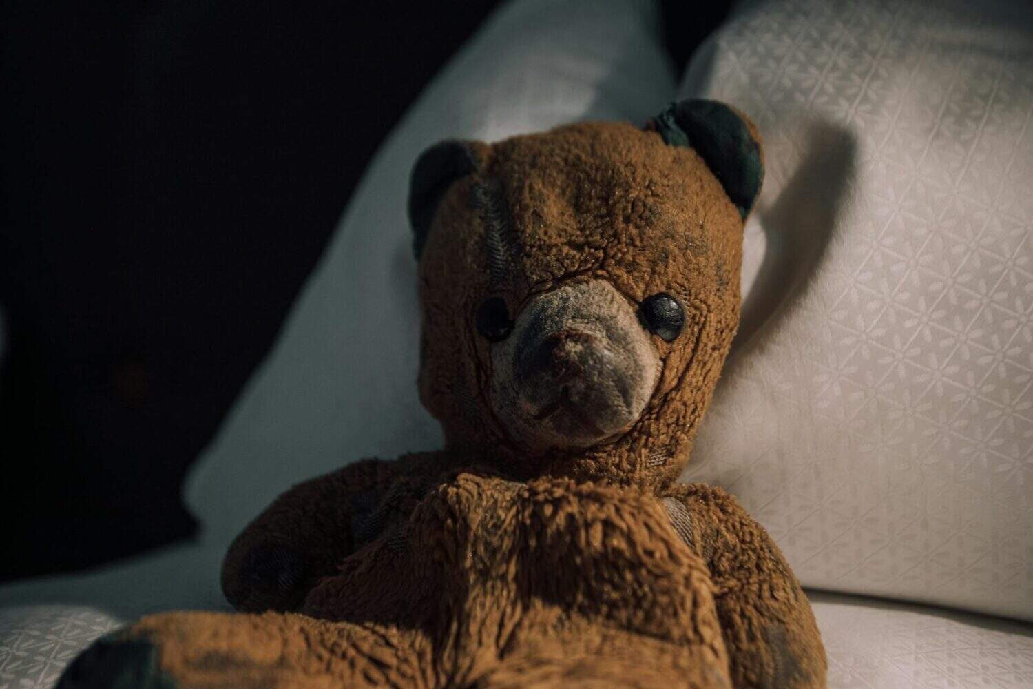Worn-out stuffed animals