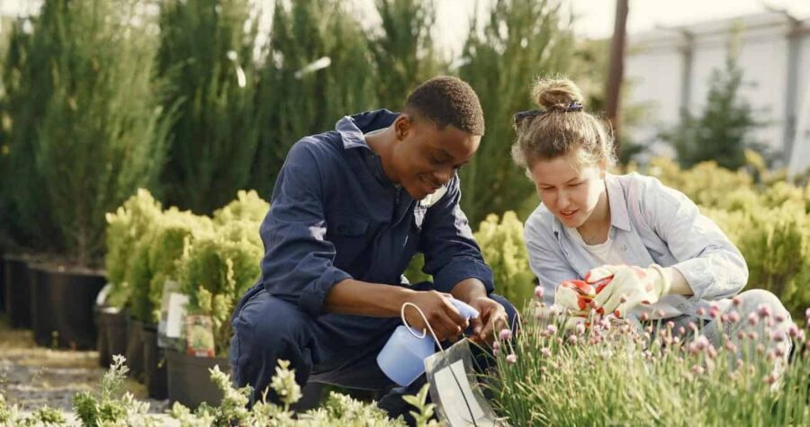 beginner gardening mistakes