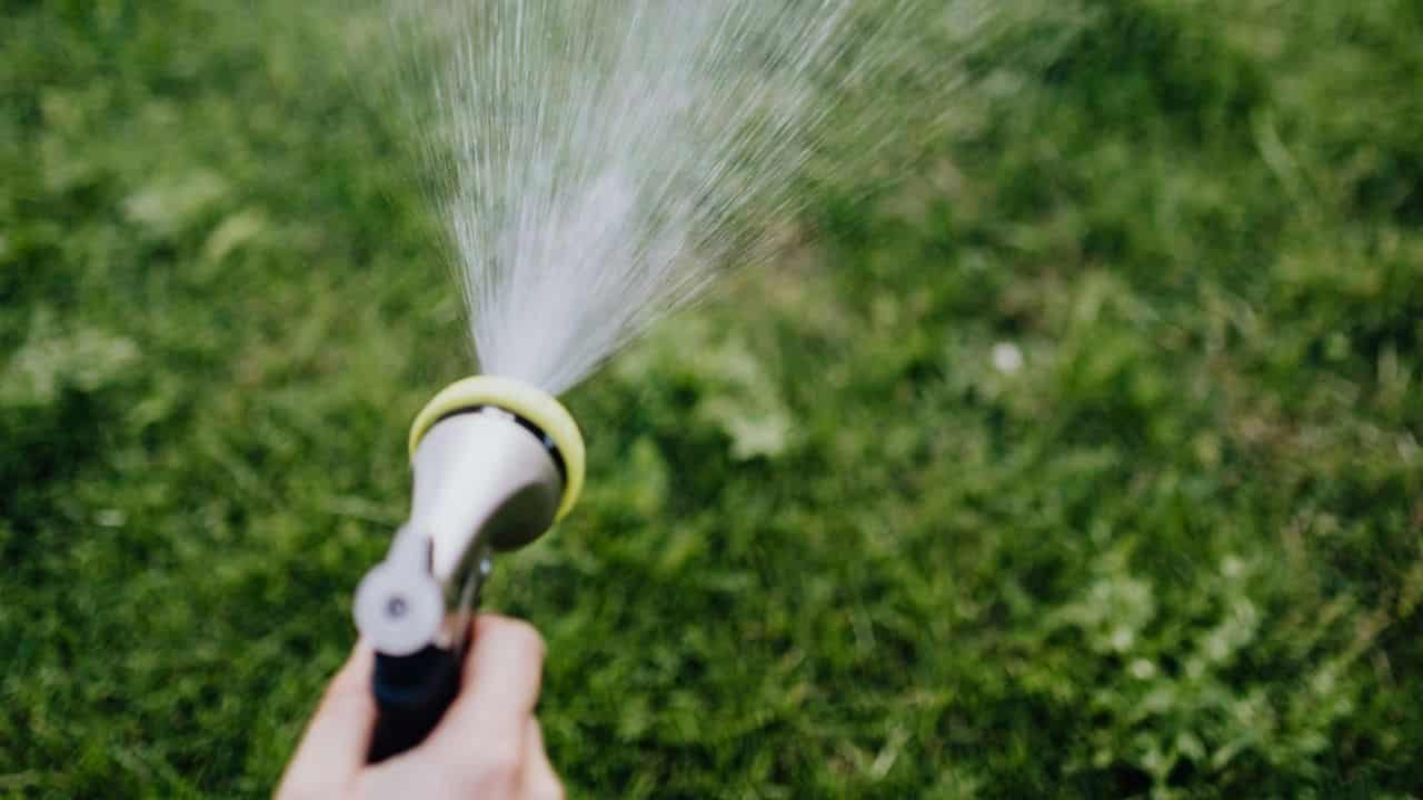 best time to water lawn