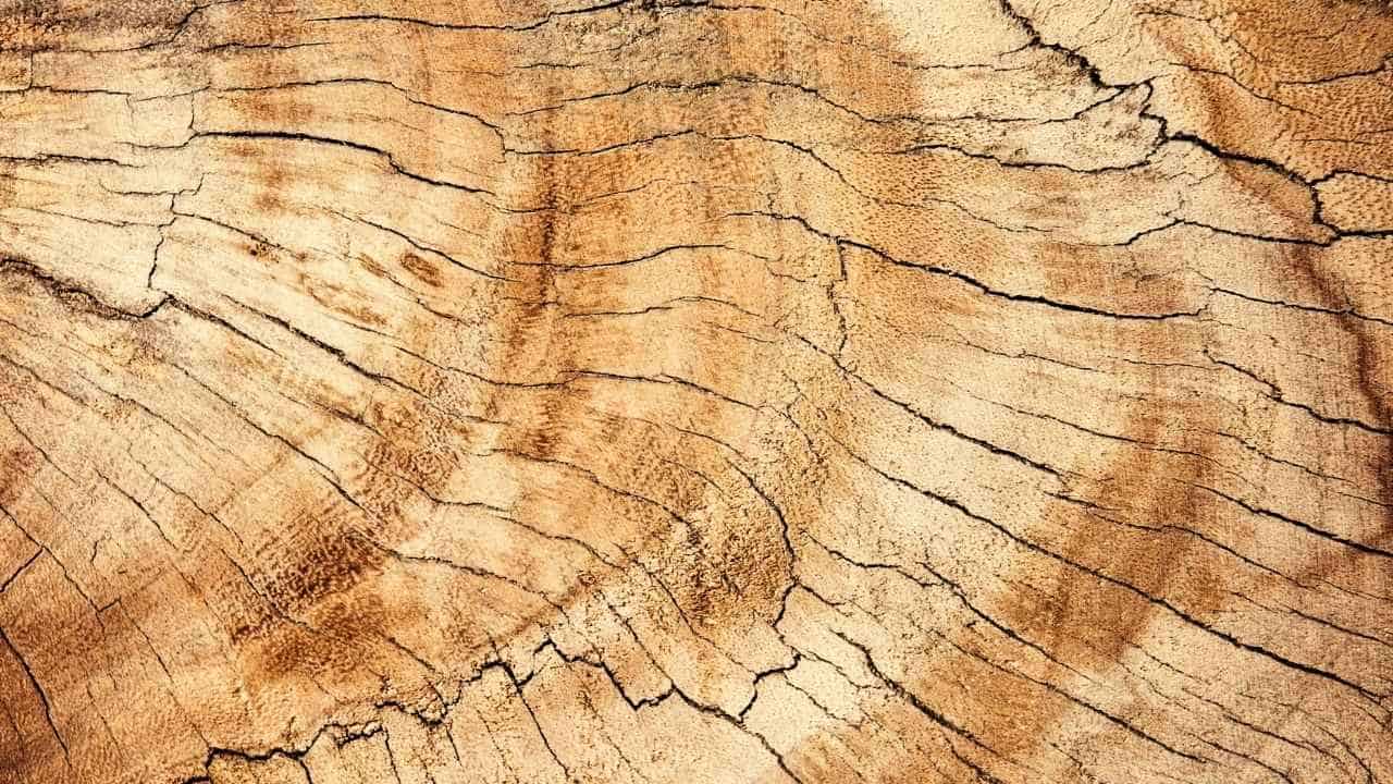 bleach on wood surface