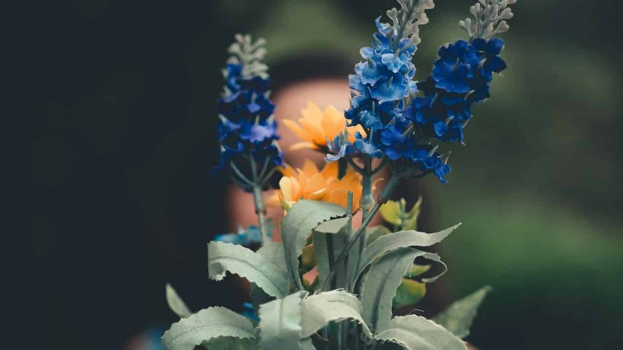 lavender yellow coreopsis blue salvia garden